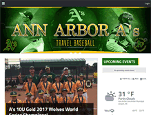 Tablet Screenshot of annarboras.com